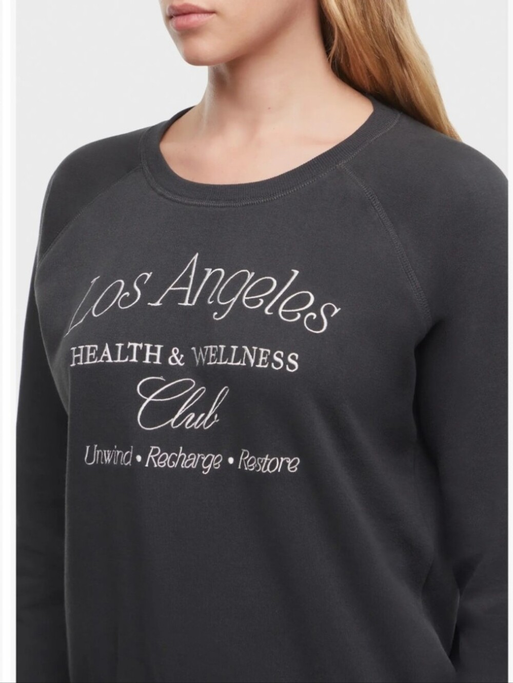 Wildfox LA Health & Wellness Club Embroidered Crewneck Charcoal Black Size Small